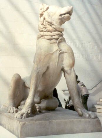 A Roman dog statue, in the foyer of the Museum.