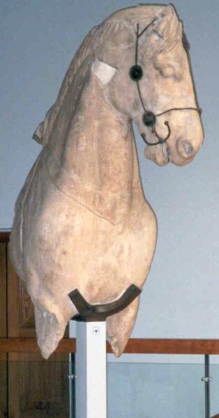 A horse, stolen from the Acropolis by Sir Elgin.