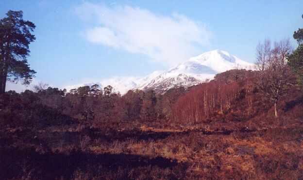 (Glen Affric, west of Loch Ness, Scotland)